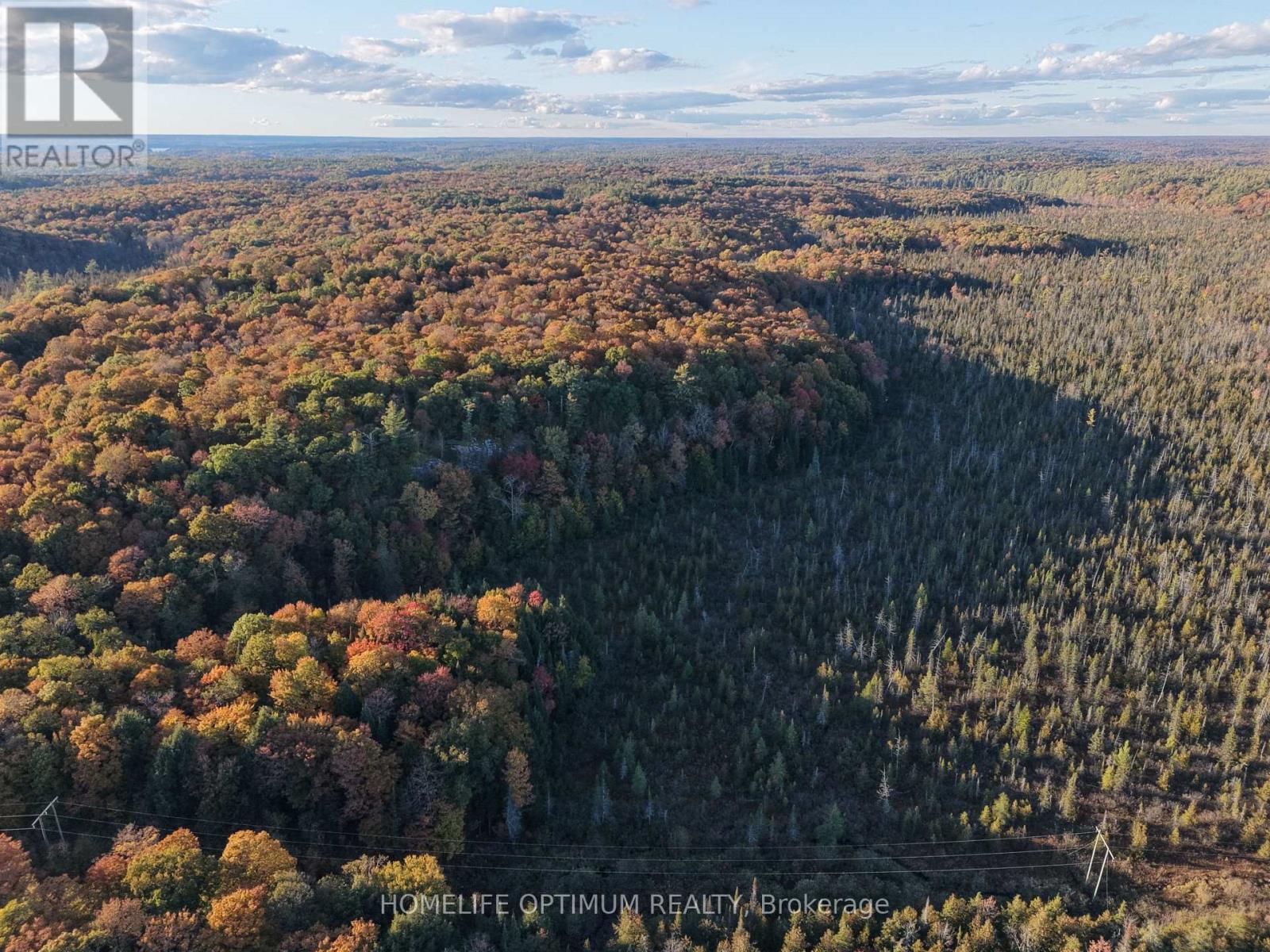 LT 22 CON 3 & LT 21 CON 3, Muskoka Lakes, ON photo 18