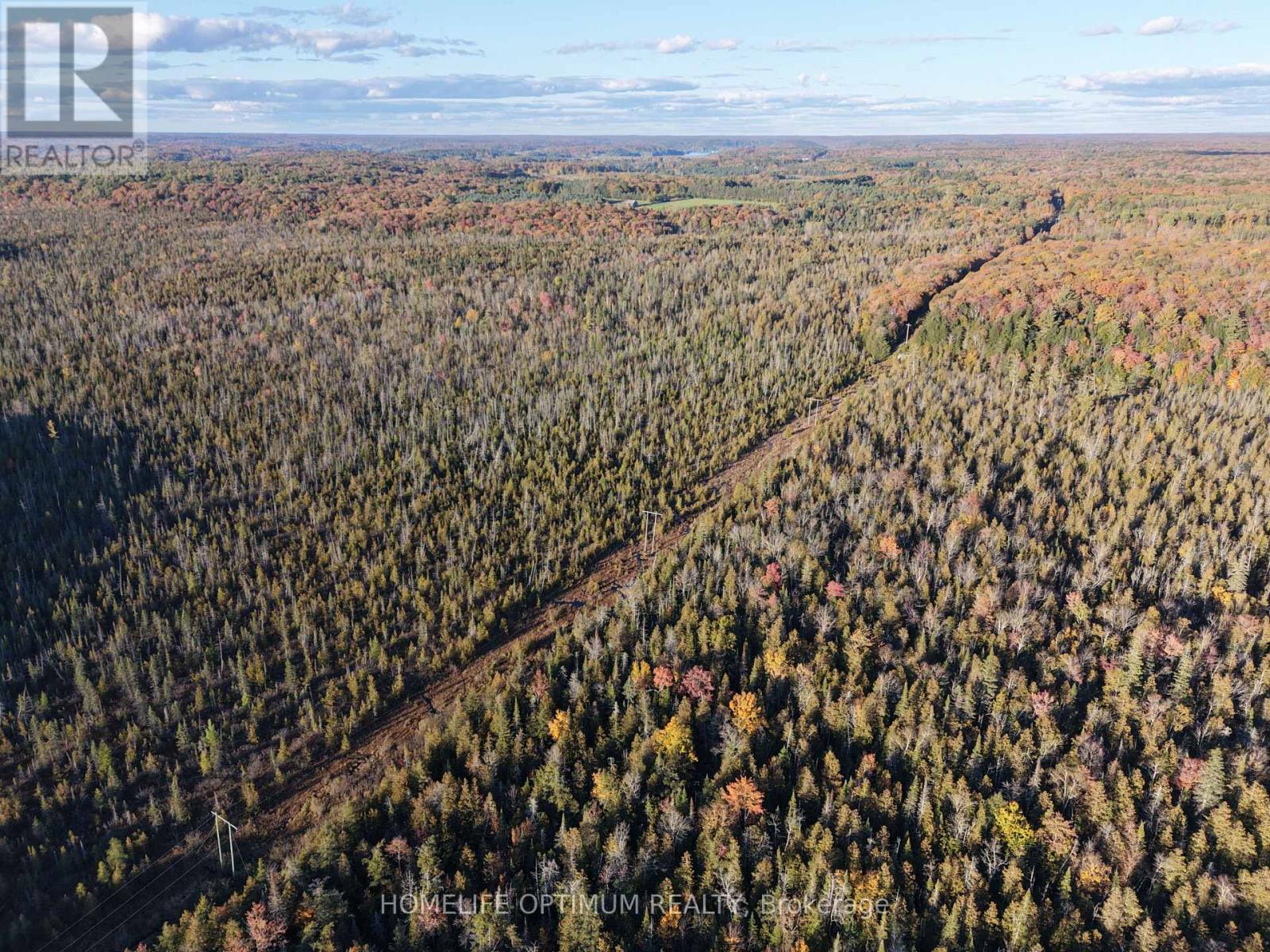 LT 22 CON 3 & LT 21 CON 3, Muskoka Lakes, ON photo 19