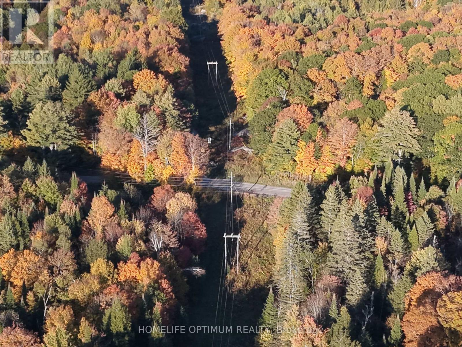 LT 22 CON 3 & LT 21 CON 3, Muskoka Lakes, ON photo 21