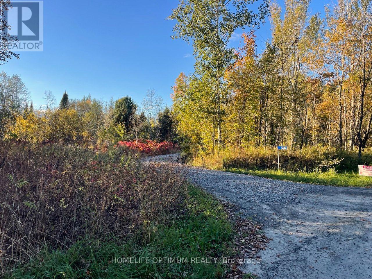 LT 22 CON 3 & LT 21 CON 3, Muskoka Lakes, ON photo 24