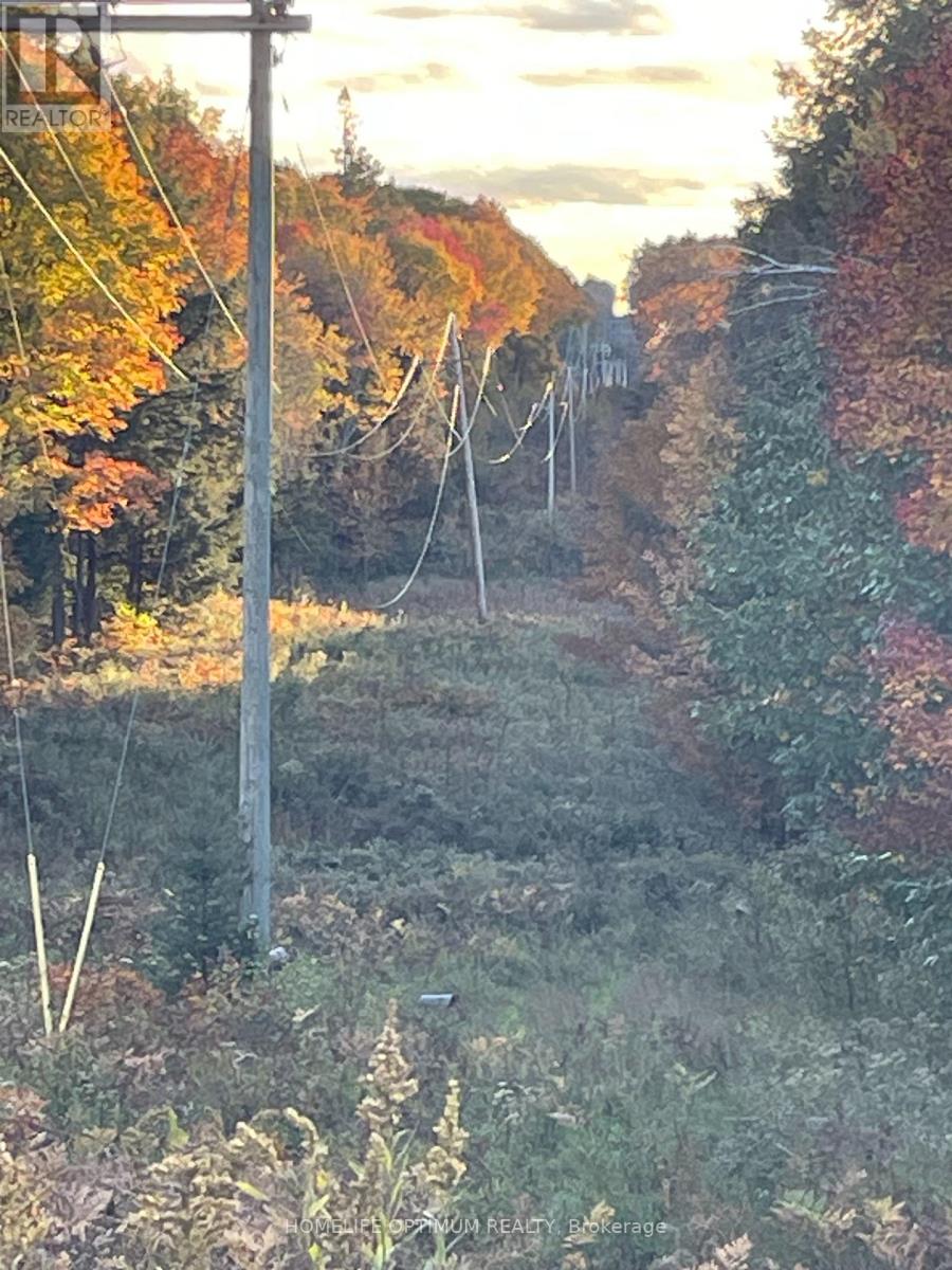 LT 22 CON 3 & LT 21 CON 3, Muskoka Lakes, ON photo 26
