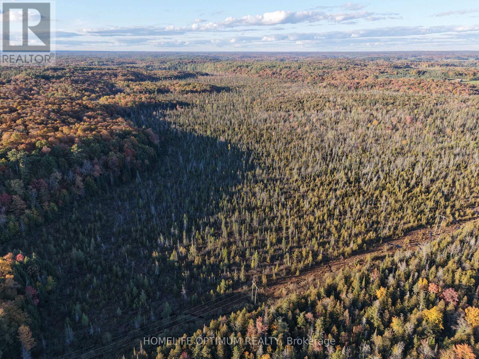 LT 22 CON 3 & LT 21 CON 3, Muskoka Lakes, ON photo 3