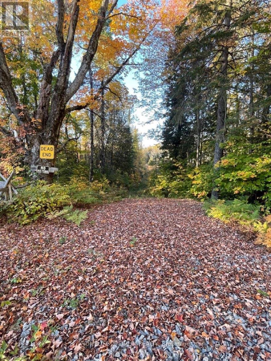 LT 22 CON 3 & LT 21 CON 3, Muskoka Lakes, ON photo 5
