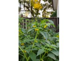30 1 Street Nw, Medicine Hat, AB T1A6H1 Photo 46