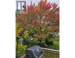 15 Willett Street, Moncton, NB E1C8A2 Photo 33