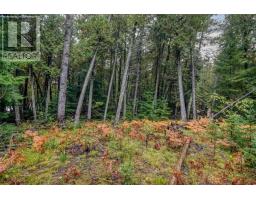 100 Steven, Gore Bay, ON P0P1H0 Photo 9