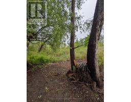 237 - 99 Fourth Concession Road, Brant, ON N0E1E0 Photo 10
