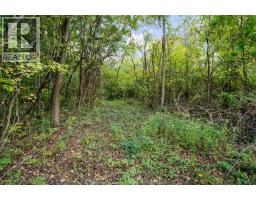 4776 Malden Road, Windsor, ON N9E3T5 Photo 14