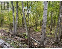 3159 Switch Road, Ramara, ON L0K2B0 Photo 10