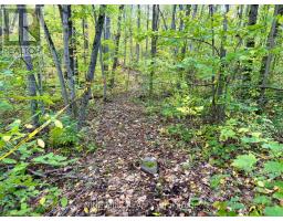 3159 Switch Road, Ramara, ON L0K2B0 Photo 12