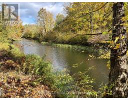 3159 Switch Road, Ramara, ON L0K2B0 Photo 13