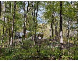 3159 Switch Road, Ramara, ON L0K2B0 Photo 16