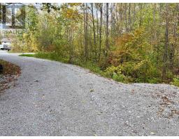 3159 Switch Road, Ramara, ON L0K2B0 Photo 6