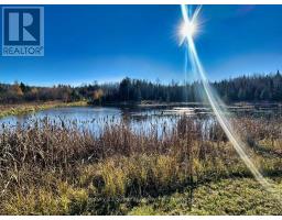 515 Portage Creek Road, Thunder Bay Remote Area, ON P0T1X0 Photo 32
