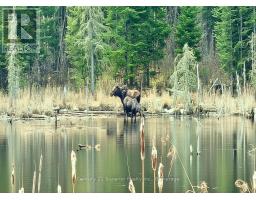 515 Portage Creek Road, Thunder Bay Remote Area, ON P0T1X0 Photo 37