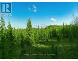 515 Portage Creek Road, Thunder Bay Remote Area, ON P0T1X0 Photo 36