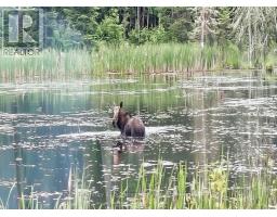 515 Portage Creek Road, Thunder Bay Remote Area, ON P0T1X0 Photo 39