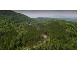 Allée Du Domaine-johannsen, Mont Tremblant, QC J8E2M6 Photo 7