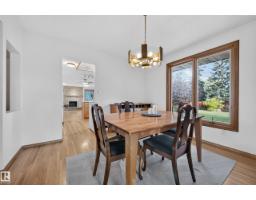 Recreation room - 10706 33a Av Nw, Edmonton, AB T6J3B7 Photo 12