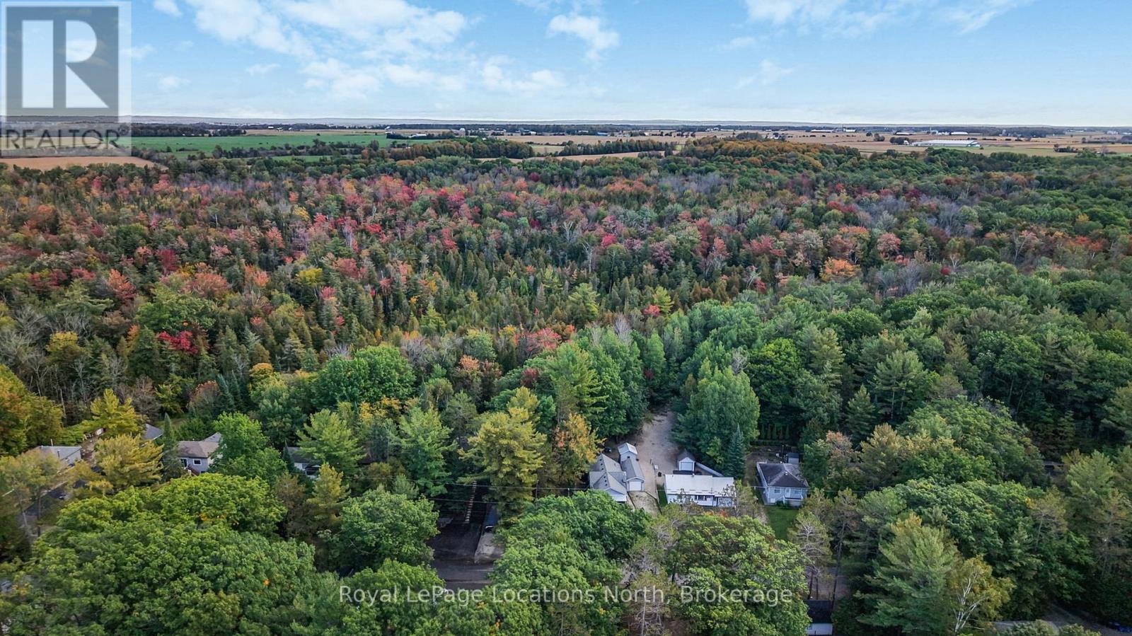 109 PARK ROAD - 37