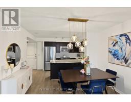 527 - 85 East Liberty Street, Toronto, ON M6K3R4 Photo 13