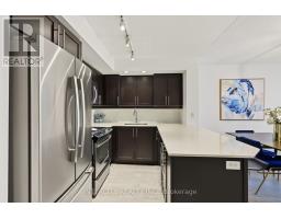 527 - 85 East Liberty Street, Toronto, ON M6K3R4 Photo 8