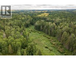 34470 Range Road 20, Rural Red Deer County, AB T0M0K0 Photo 31