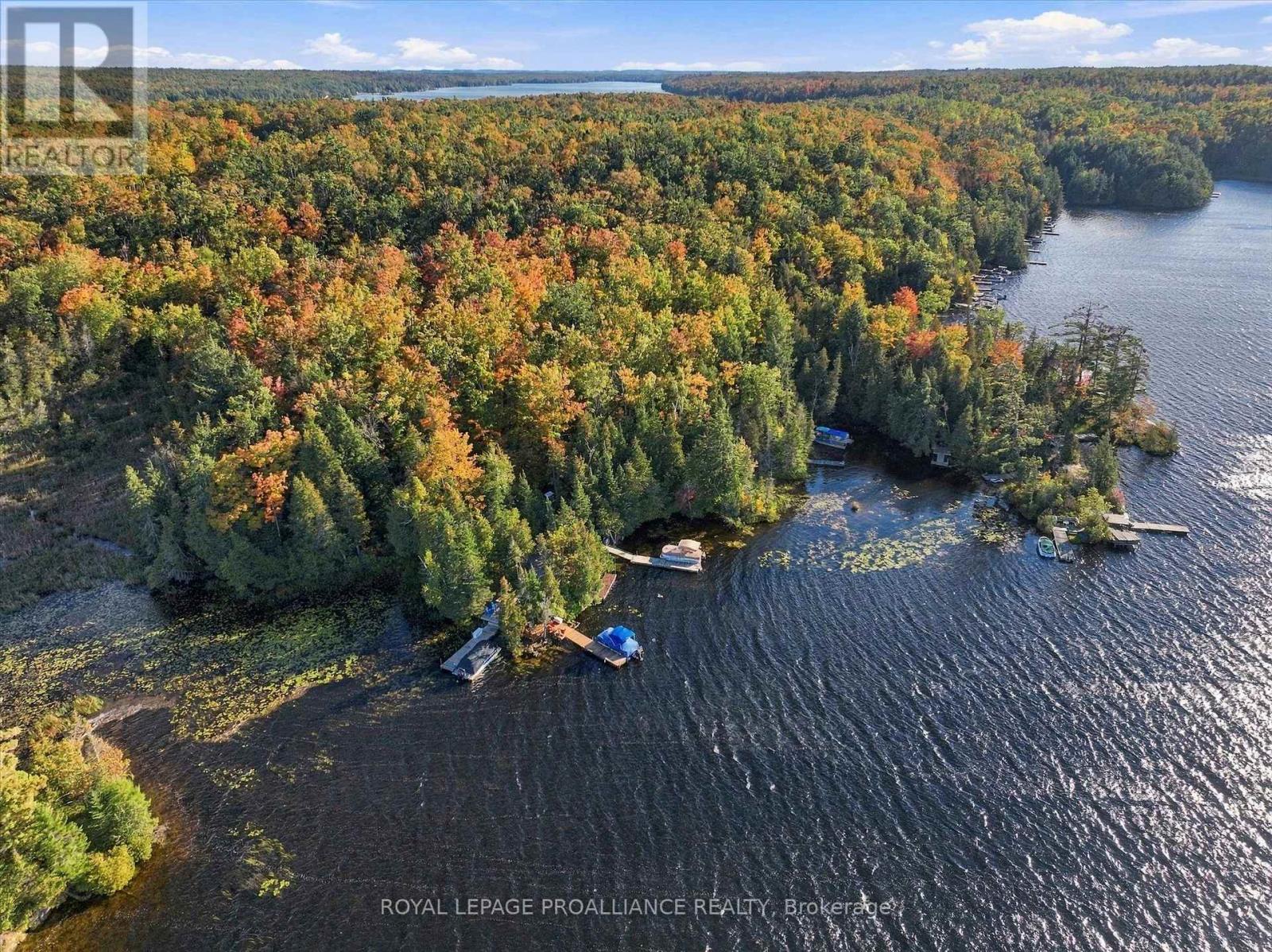 139 Lakeland Avenue South, Trent Lakes, ON photo 2