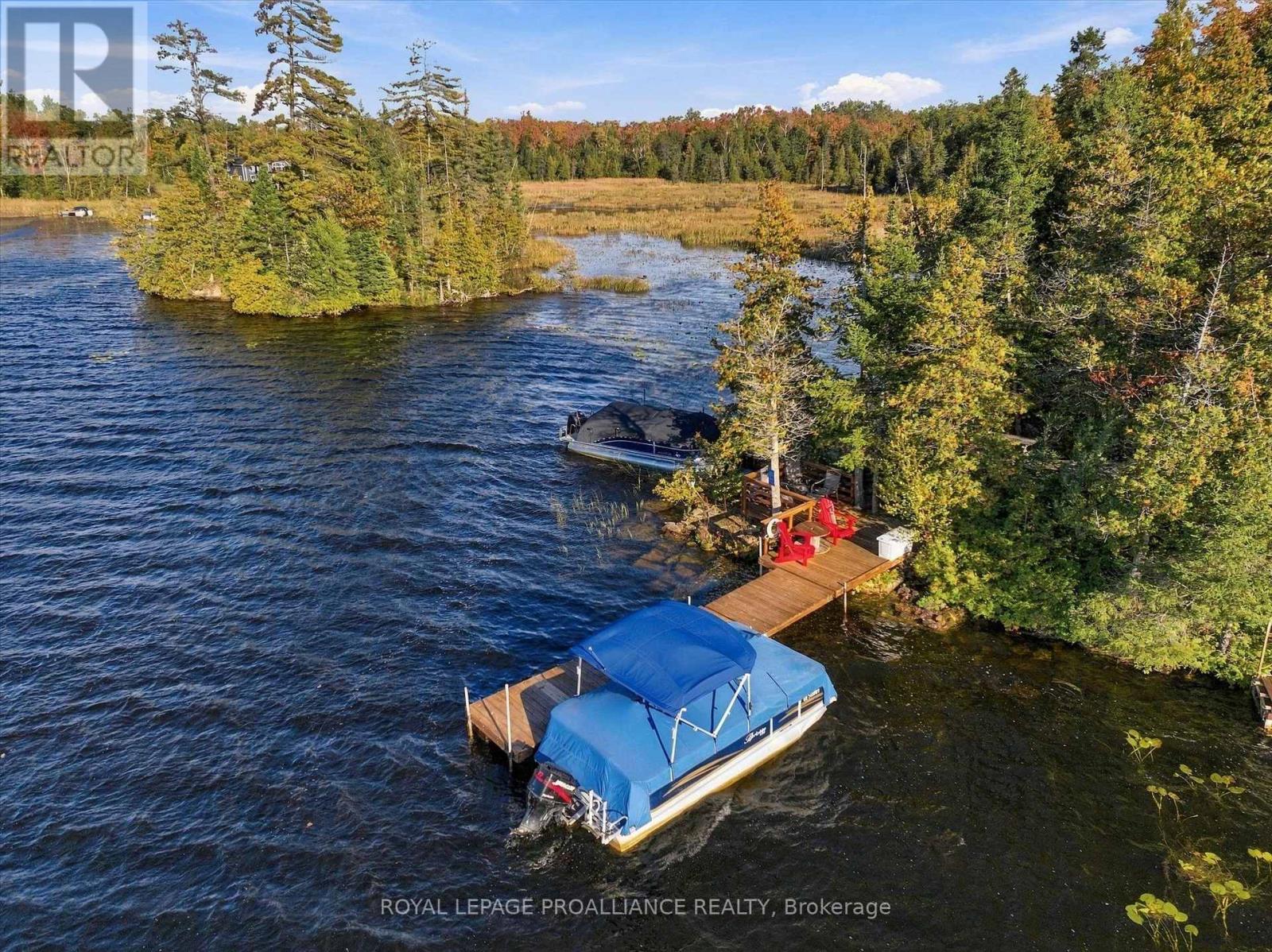 139 Lakeland Avenue South, Trent Lakes, ON photo 3