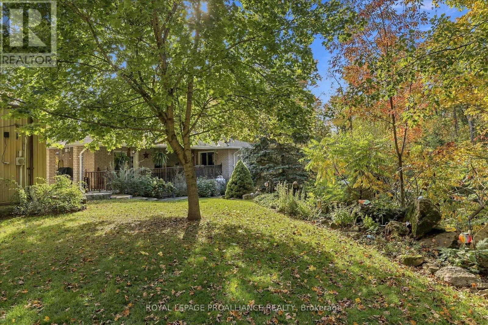 139 Lakeland Avenue South, Trent Lakes, ON photo 35
