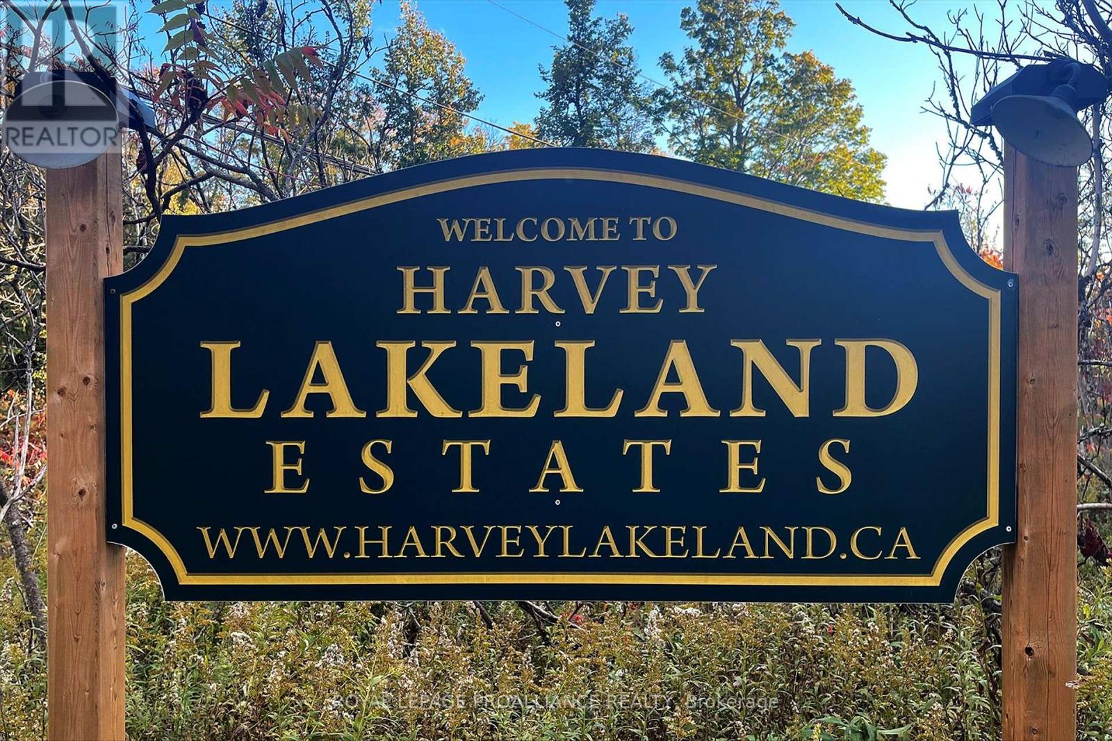 139 Lakeland Avenue South, Trent Lakes, ON photo 50