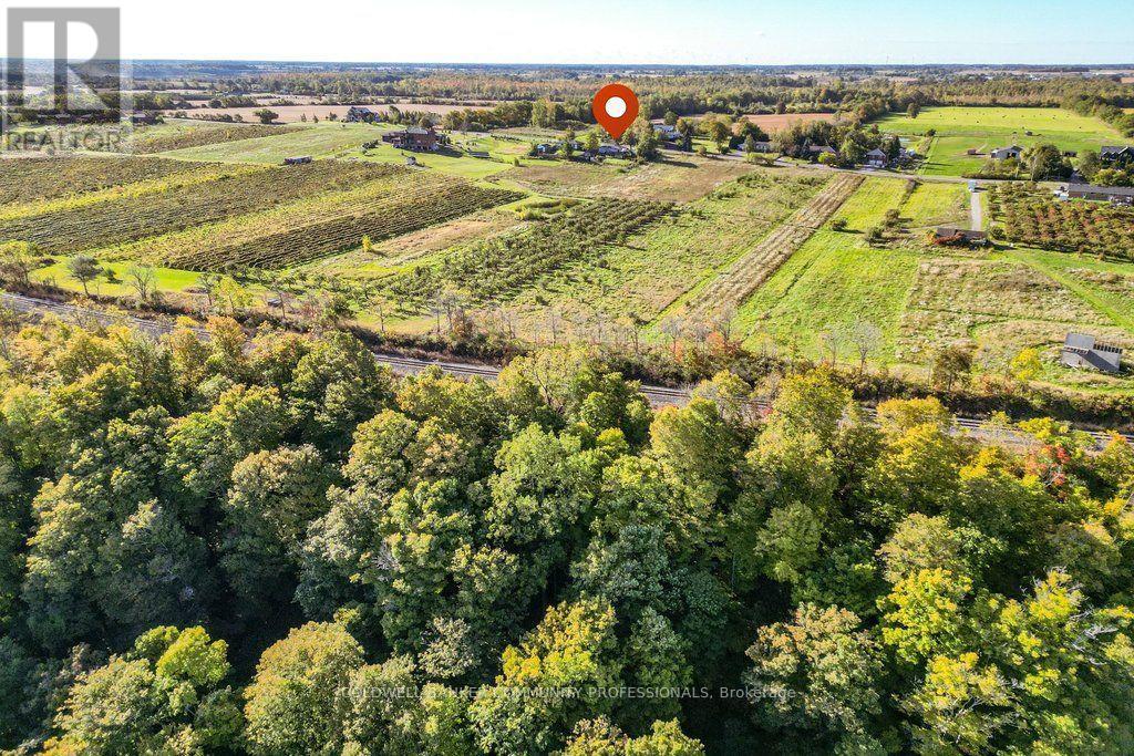 919 Ridge Road, Hamilton, ON photo 39