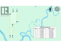 Pob Fsr/morkill Fs Road, Dome Creek, BC V0J1H0 Photo 15