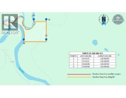 Pob Fsr/morkill Fs Road, Dome Creek, BC V0J1H0 Photo 30