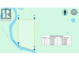 Pob Fsr/morkill Fs Road, Dome Creek, BC V0J1H0 Photo 33