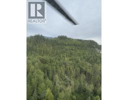 Pob Fsr/morkill Fs Road, Dome Creek, BC V0J1H0 Photo 38