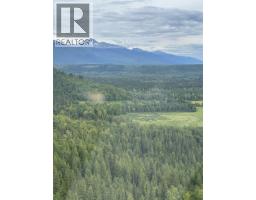 Pob Fsr/morkill Fs Road, Dome Creek, BC V0J1H0 Photo 37