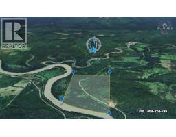 Pob Fsr/morkill Fs Road, Dome Creek, BC V0J1H0 Photo 10