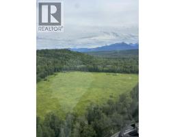 Pob Fsr/morkill Fs Road, Dome Creek, BC V0J1H0 Photo 35