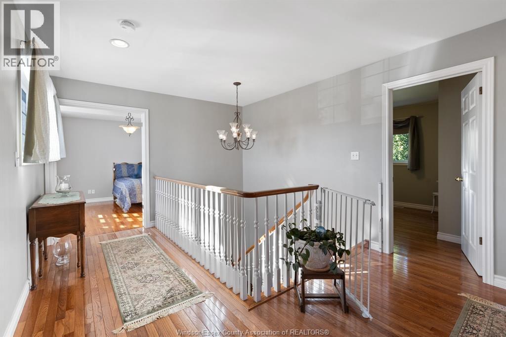 1620 MAPLE - 16