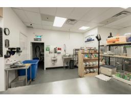 140 2098 Carpenter Street, Abbotsford, BC V2T6L9 Photo 16