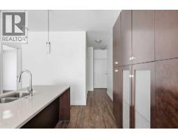 209, 1720 10 Street Sw, Calgary, AB T2T3E8 Photo 21