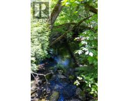 Patio - 7028 Westholme Rd, Westholme, BC V9L6B4 Photo 18