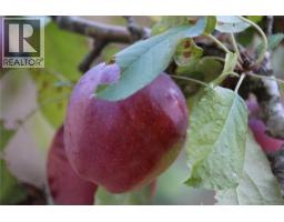 7028 Westholme Rd, Westholme, BC V9L6B4 Photo 72