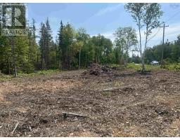0 Meadows Road, Sydney Forks, NS B1L1A1 Photo 6