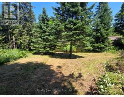 2011 North Shore Road, Algonquin Highlands, ON K0M1J1 Photo 9