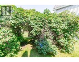 4706 48 Street, Stettler, AB T0C2L0 Photo 31