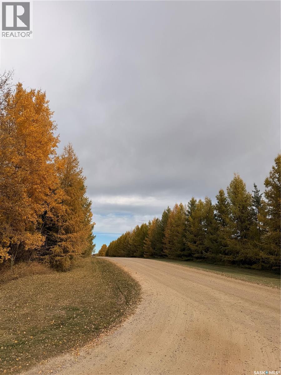10 Acres Northern Meadows, Lac des Îles — photo 14