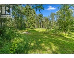 590055a Range Road 110, Rural Woodlands County, AB T7S1P3 Photo 16