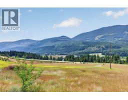 1711 Burman Road, Clearwater, BC V0E1N0 Photo 58